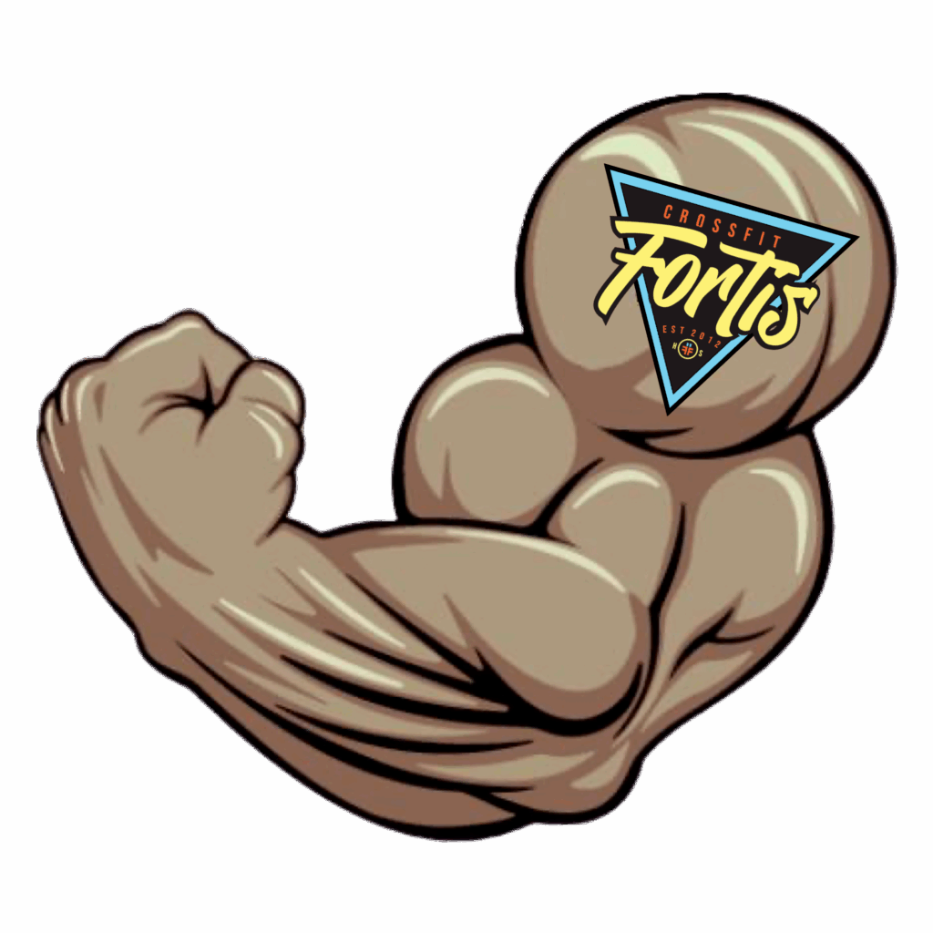 muscles